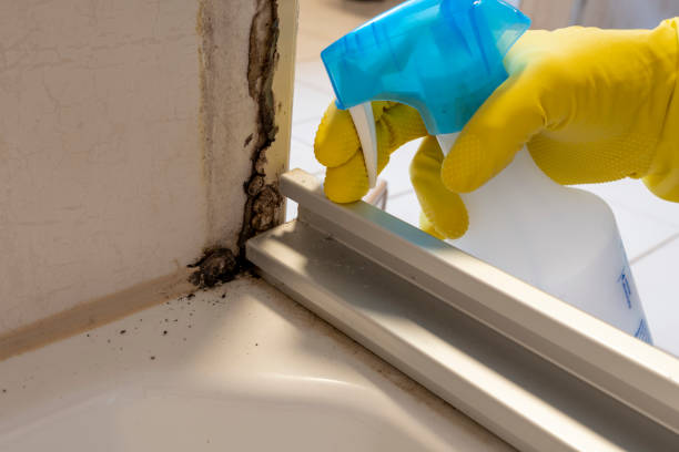 Best Residential Mold Inspection & Testing  in Bernardsville, NJ